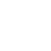 Camilla Aller logo